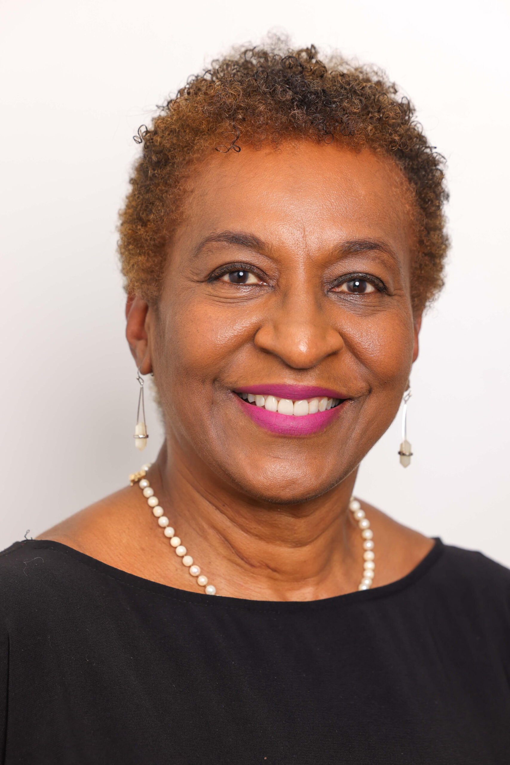 Governance – Bedford Stuyvesant New Beginnings Charter School, Brooklyn NY